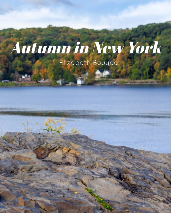 View Autumn in New York by Elizabeth Bouyea