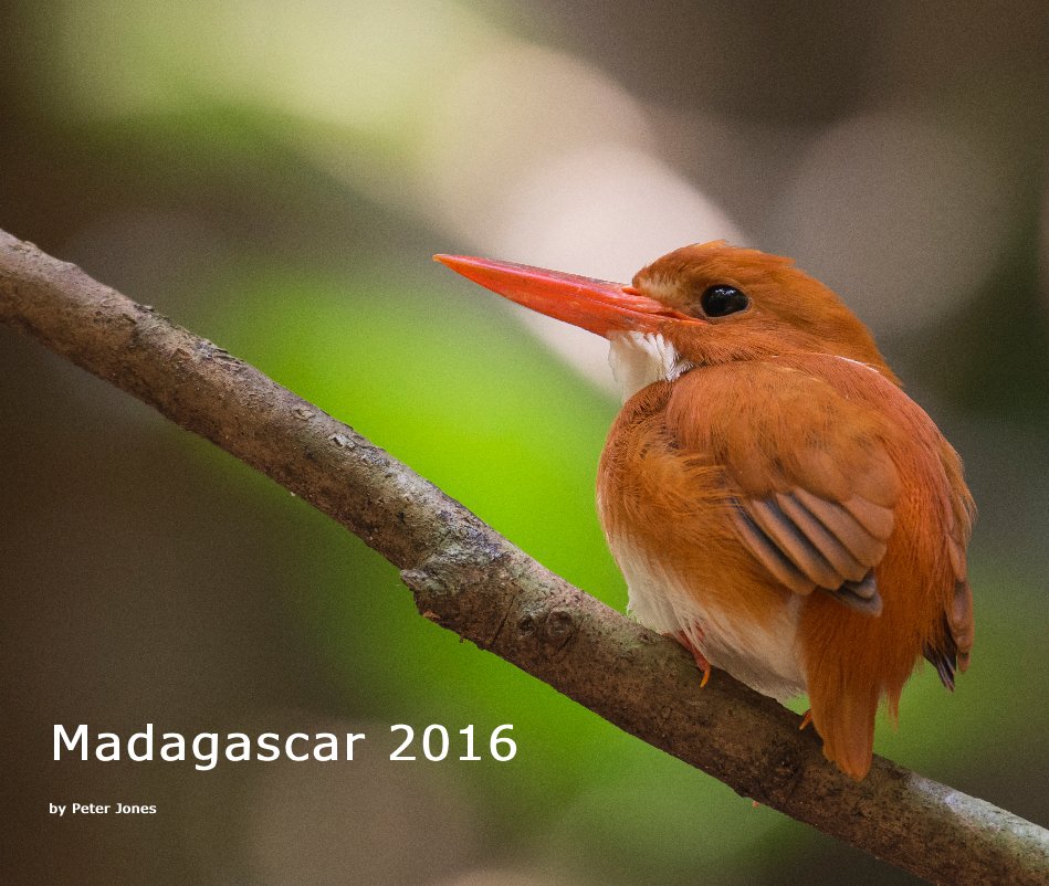 Bekijk Madagascar 2016 op Peter Jones