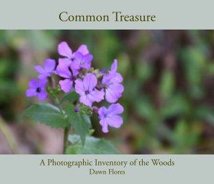 Common Treasure book cover