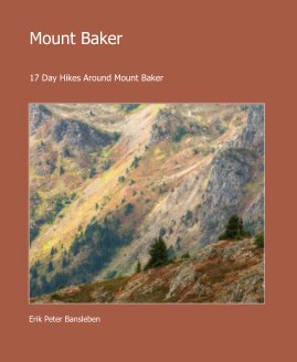 Mount Baker book cover