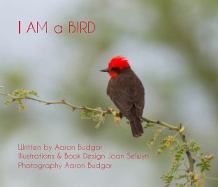 I AM A BIRD book cover