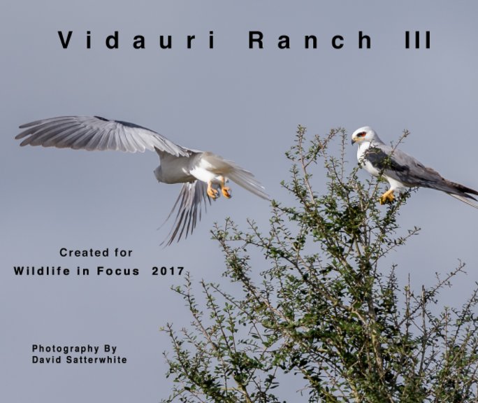 View Vidauri Ranch III by David Satterwhite