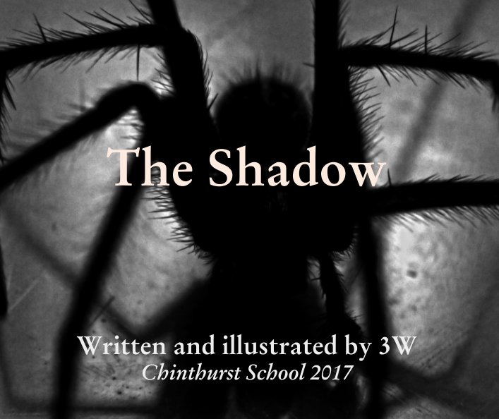 Bekijk The Shadow op Written and illustrated by 3W
