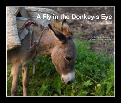 A Fly in the Donkey's Eye book cover