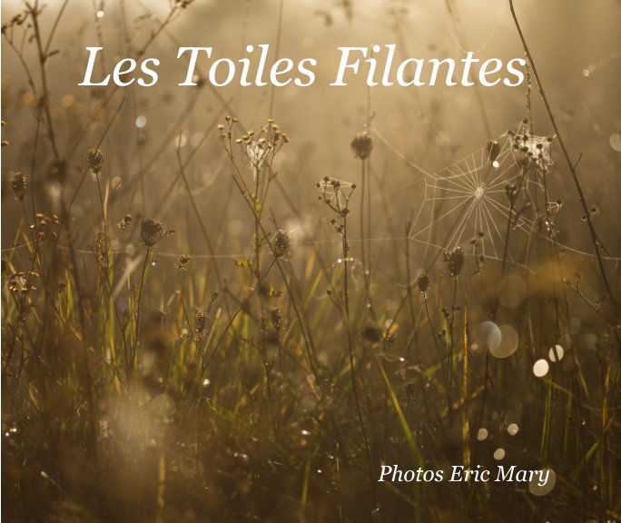 View Les Toiles Filantes by Eric Mary