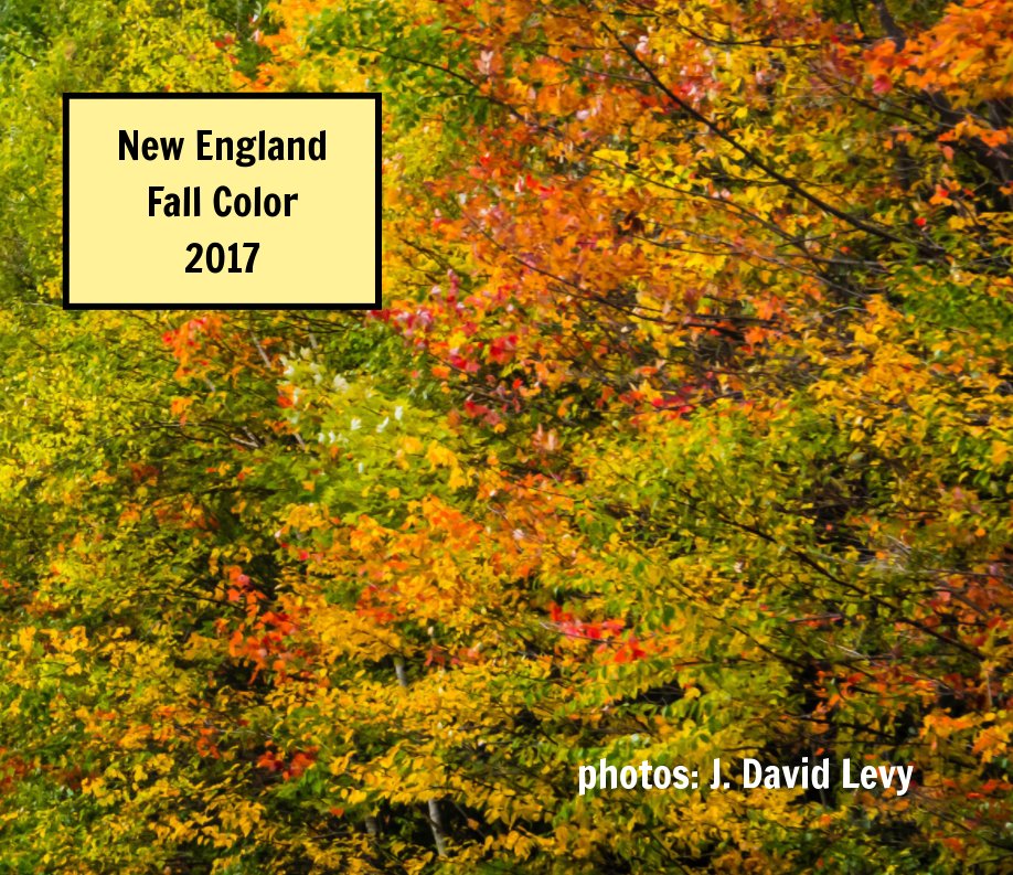 View New  England Fall Color 2017 by J David Levy