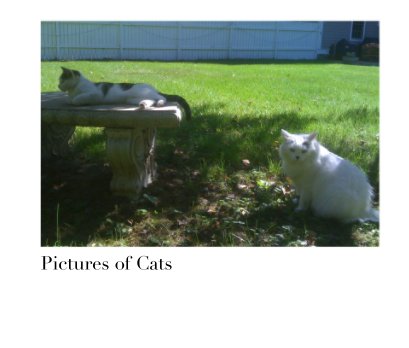Pictures of Cats book cover