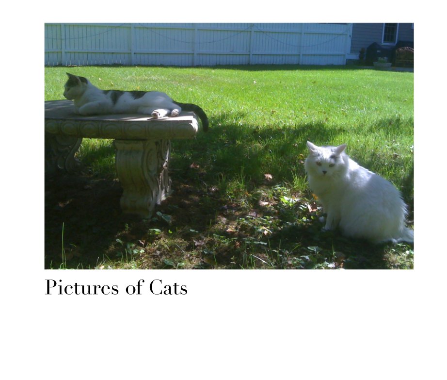 Visualizza Pictures of Cats di Todd LaRoche