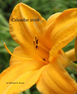Calendar 2018 book cover