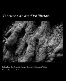 Pictures at an Exhibition book cover