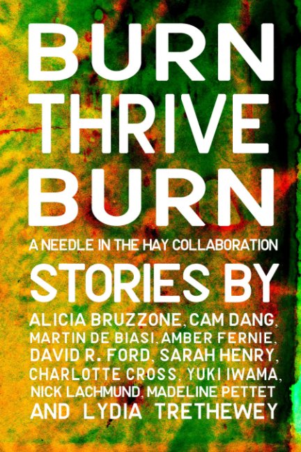View Burn Thrive Burn by Martin De Biasi (Editor)