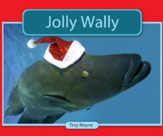 Jolly Wally book cover