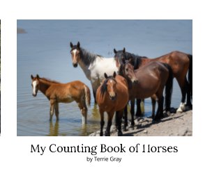 My Counting Book of Horses book cover