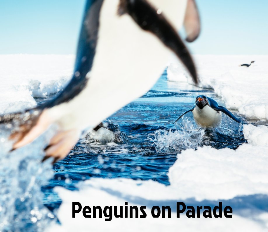 View Penguins on Parade by Andrew Peacock