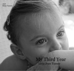My Third Year Livia Jean Turner book cover