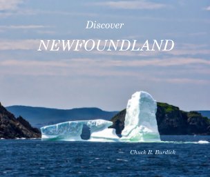 Discover Newfoundland book cover