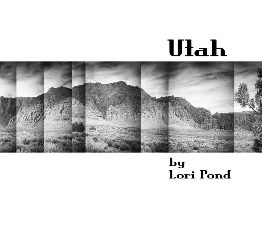 Visualizza Utah di Lori Pond