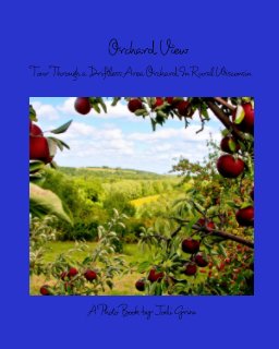 Orchard View book cover