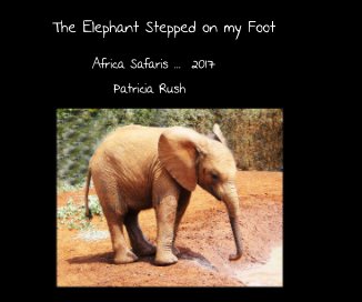 The Elephant Stepped on my Foot book cover