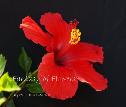Fantasy of Flowers book cover