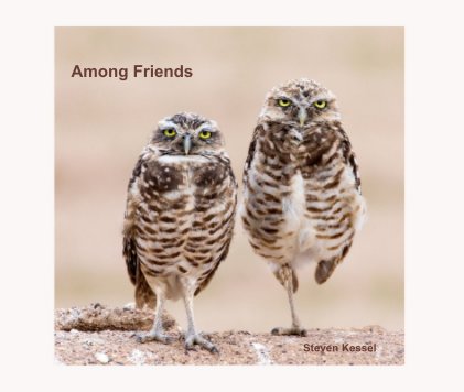 Among Friends book cover