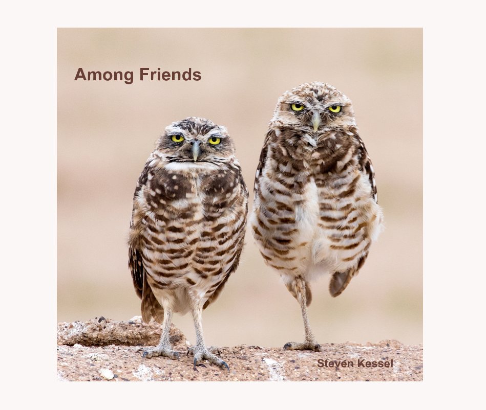 Ver Among Friends por Steven Kessel