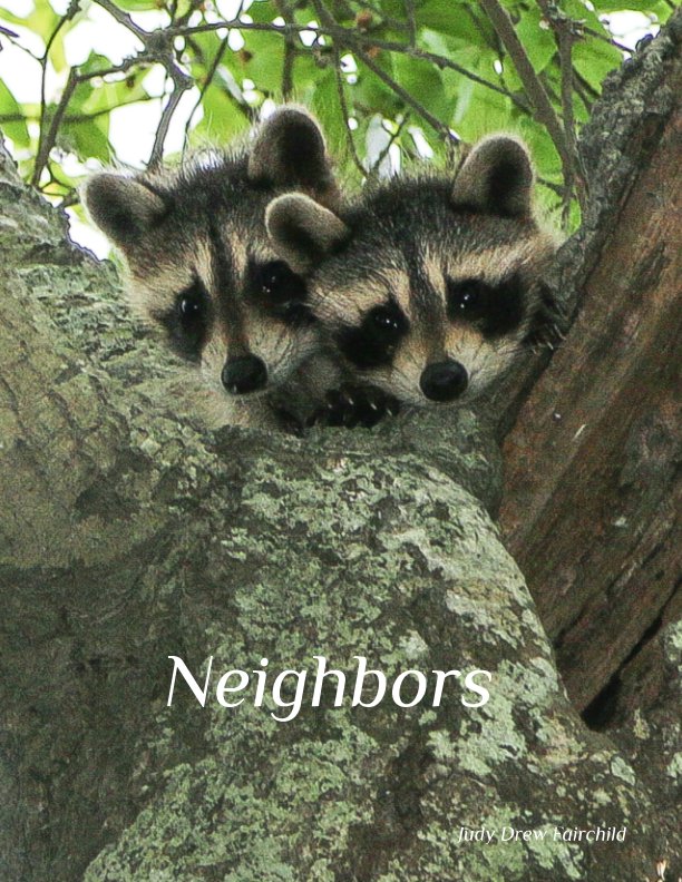 View Neighbors by Judy Drew Fairchild