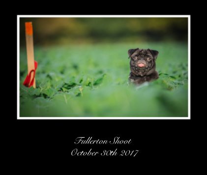 Fullerton Shoot October 30th 2017 book cover