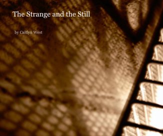 The Strange and the Still book cover