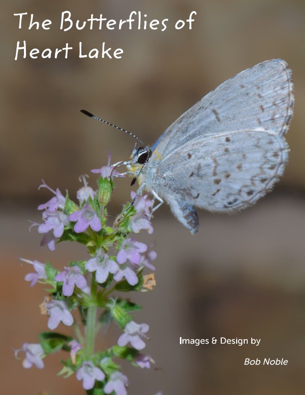 View The Butterflies of Heart Lake by Robert Noble