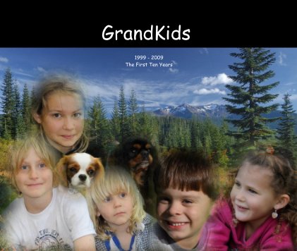 GrandKids 1999 - 2009 The First Ten Years book cover