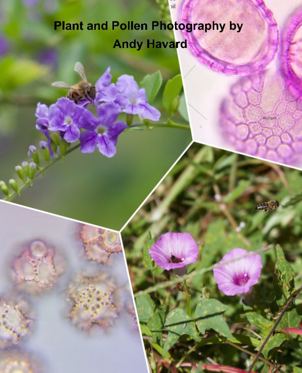 View Plant and Pollen Photography by Andy Havard