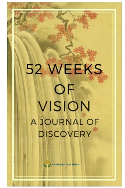 View 52 Weeks of Vision by Christine Gonos- Jeffrey