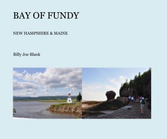 BAY OF FUNDY book cover