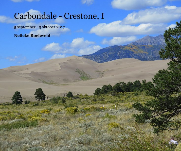 View Carbondale - Crestone, I by Nelleke Roeleveld