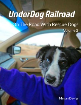 UnderDog Railroad Vol.2 book cover