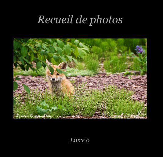Visualizza Recueil de photos (Livre 6) di Denis Nadeau