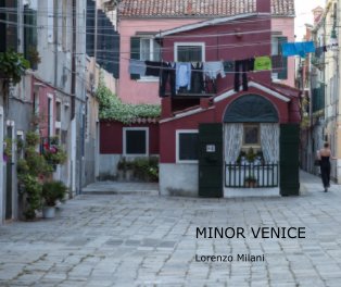 Minor Venice book cover