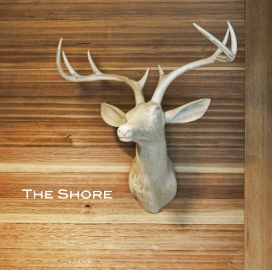 The Shore book cover