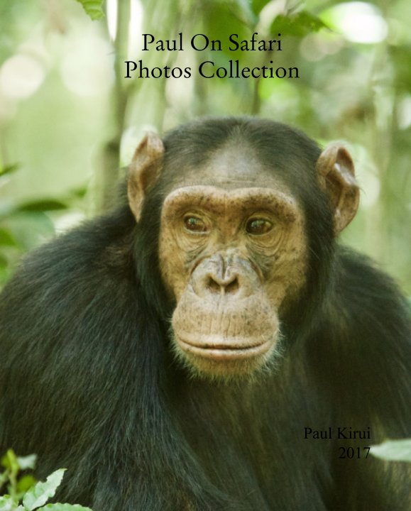 View Paul On Safari Photos Collection by Paul Kirui 2017