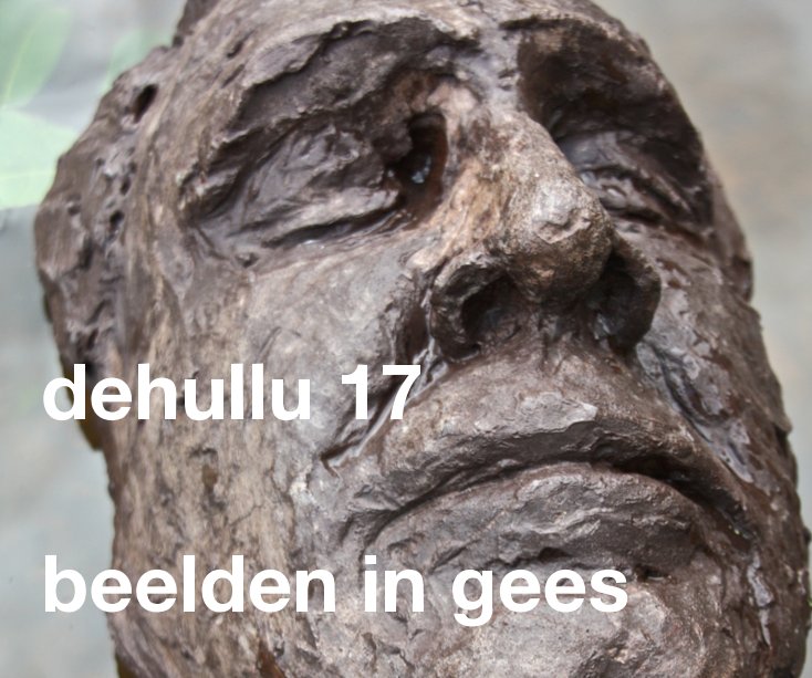 Ver dehullu 17 beelden in gees por Jaap van Dijk