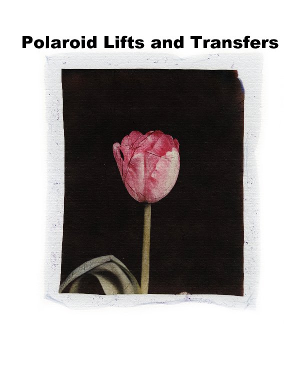 View Polaroid Lifts and Transfers by Marilyn G. Ticknor