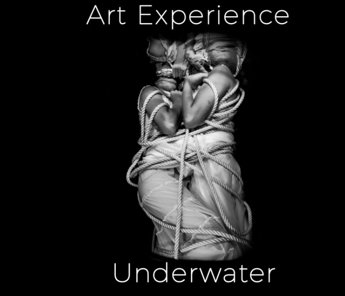 View Art Experience Underwater by Lee Peterson