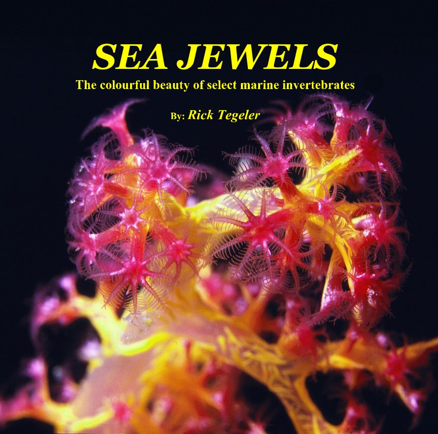 View Sea Jewels by Rick Tegeler