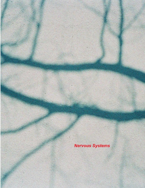Ver Nervous Systems por David Rothschild
