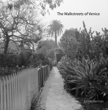 The Walkstreets of Venice book cover