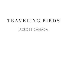 TRAVELING BIRDS book cover
