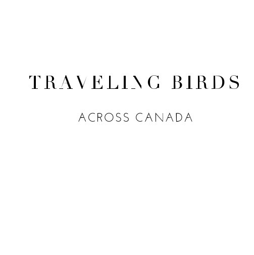 Ver TRAVELING BIRDS por Elo Durand