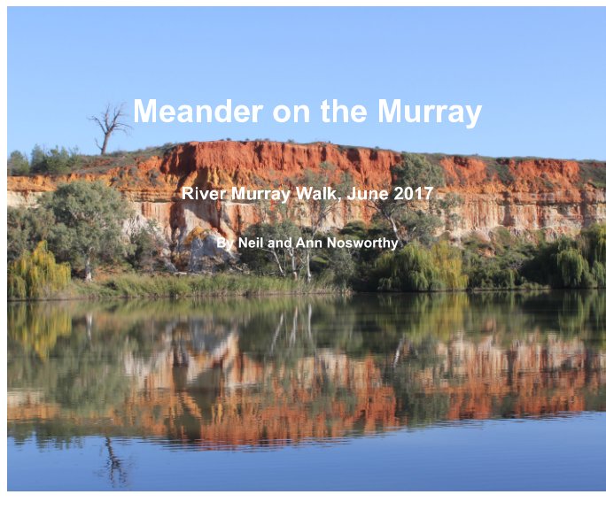 View Meander on the Murray by Neil Nosworthy, Ann Nosworthy