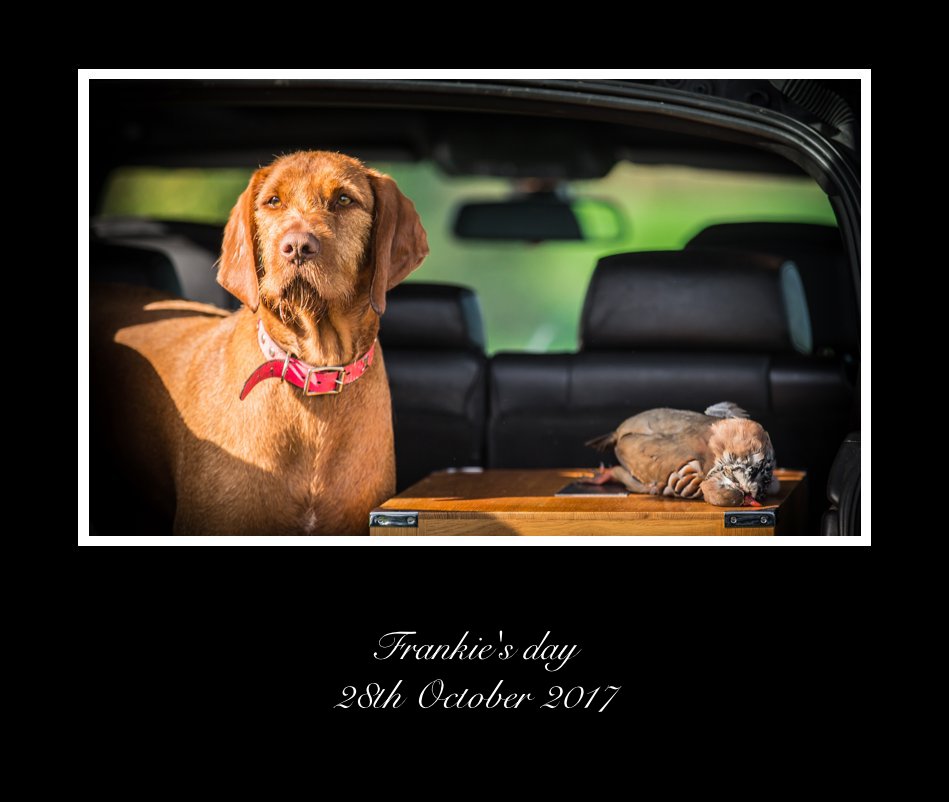 View Frankie's day 28th October 2017 by Dean Mortimer